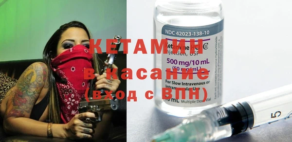 прущие грибы Абинск