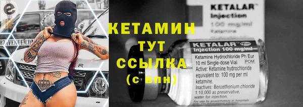 прущие грибы Абинск